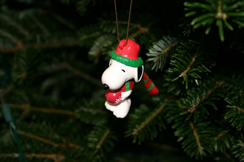 Snoopy & Ornament
