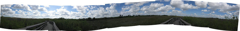 Everglades Panaorama 1