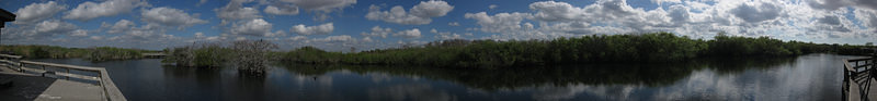 Everglades Panaorama 2 - Cropped