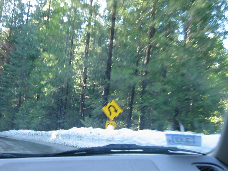 Curvy Road Sign - 1