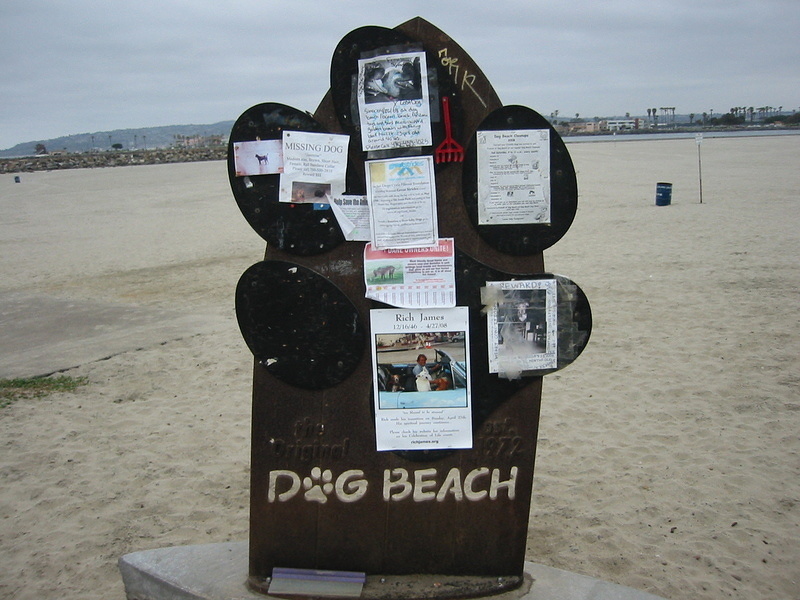 Dog Beach!