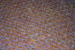 Macy's Blanket Detail
