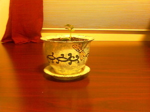 Dragonfly & Leaf Pattern Plant Pot