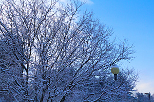 2015-02-19 - Snowy Sunny Mornings in Merrimack