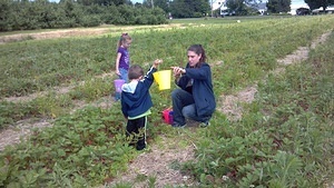 Strawberry Picking with Lori, Haley & Brendan at Brookdale Fruit Farm, June 17, 2012