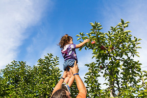 2016-09-17 - Apple Picking at Parlee Farm with Gramma K
