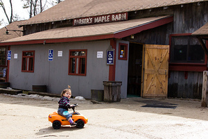 Aeryn - Twelve Months - Parkers Maple Barn