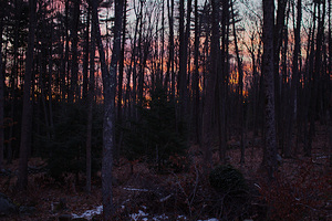 2012-02-10 - Early Spring Sunrise