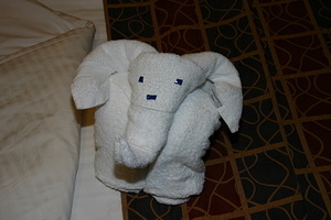 Elephant Towel Animal
