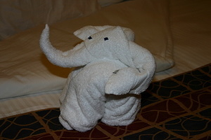 Elephant Towel Animal 3