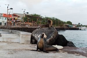 2013-04-30 - San Cristobal