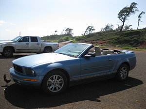 That's right, my rental was a mustang...