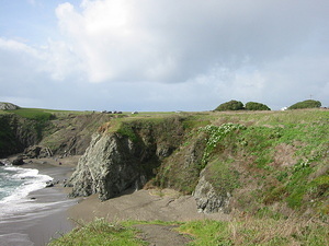 Pacific Highway - 4