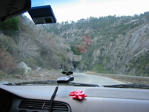 Driving Through Yosemite - 10