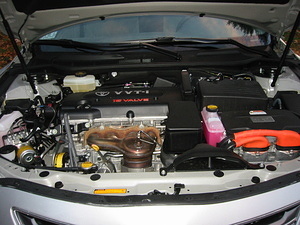 Engine Compartment Close-Up