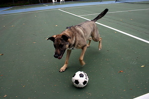Penny Playing Soccer