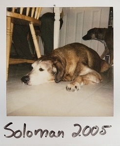 Old Polaroids of Penny and Soloman